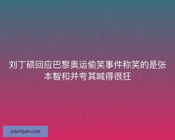 刘丁硕回应巴黎奥运偷笑事件称笑的是张本智和并夸其喊得很狂