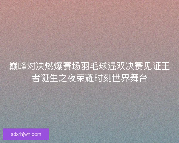 巅峰对决燃爆赛场羽毛球混双决赛见证王者诞生之夜荣耀时刻世界舞台